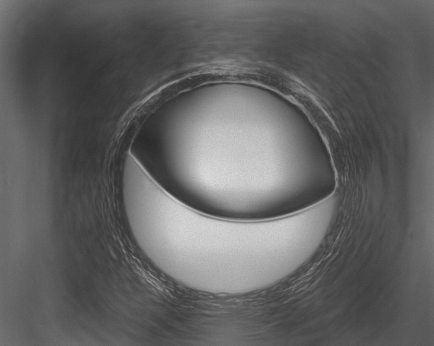 X0000084551304200702230924