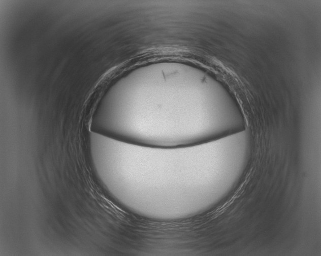X0000084551306200702230924