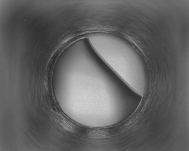 X0000084551307200702230924