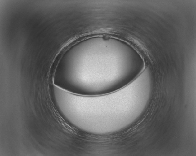 X0000084551308200702230924