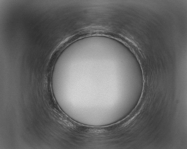 X0000084551309200702230924