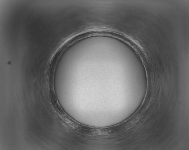 X0000084551311200702230924