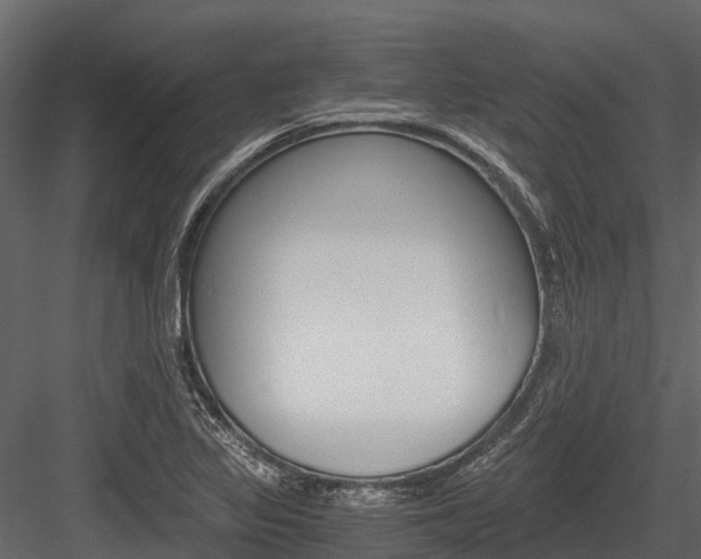 X0000084551317200702230924