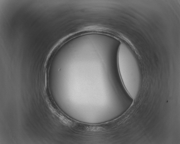 X0000084551323200702230924