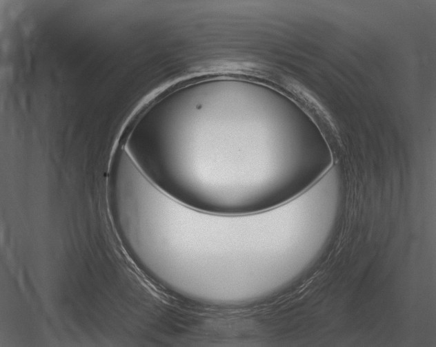 X0000084551324200702230924