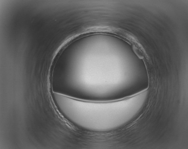X0000084551328200702230925