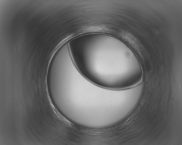 X0000084551330200702230925