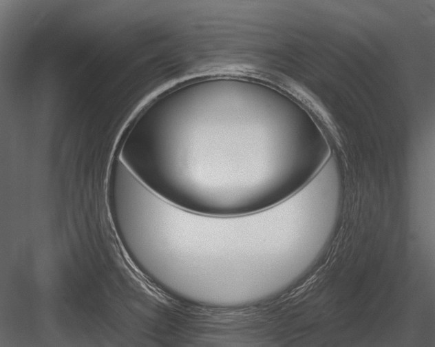 X0000084551332200702230925
