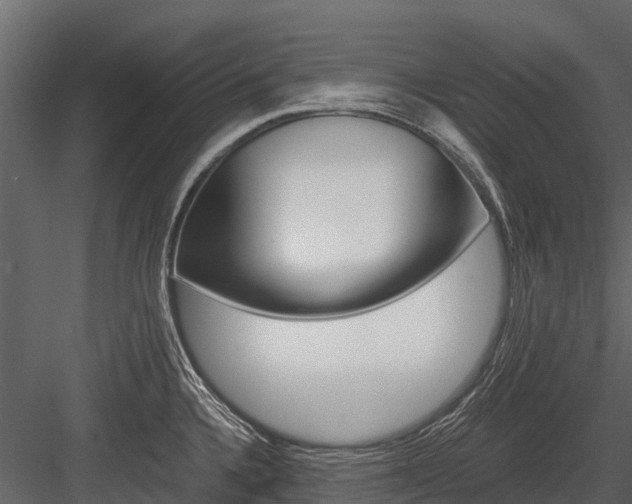 X0000084551336200702230925