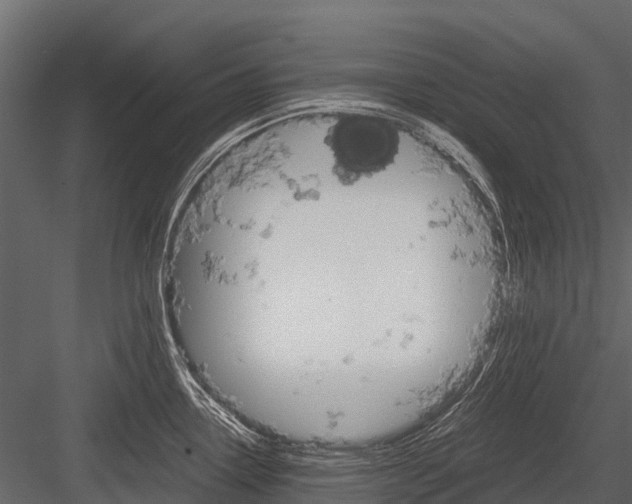 X0000084551338200702230925