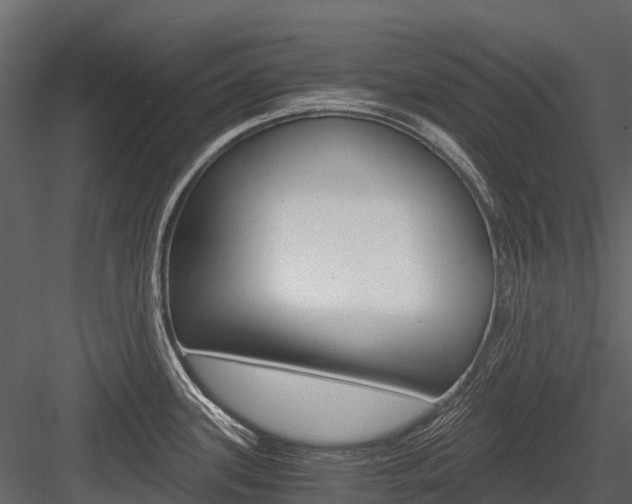 X0000084551339200702230925