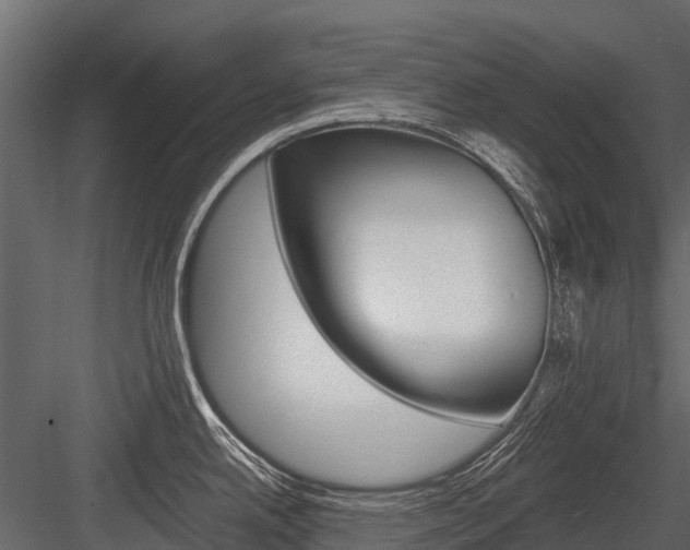 X0000084551342200702230925