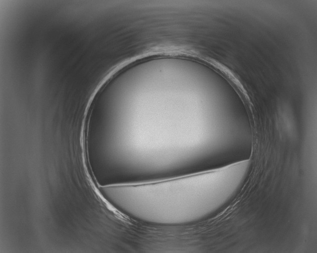 X0000084551343200702230925