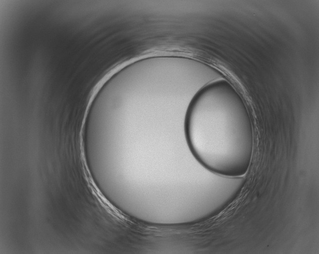 X0000084551344200702230925