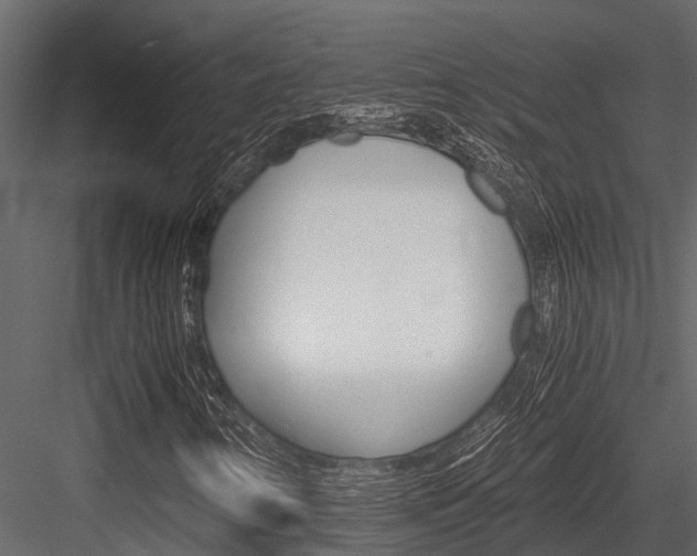 X0000084551346200702230924