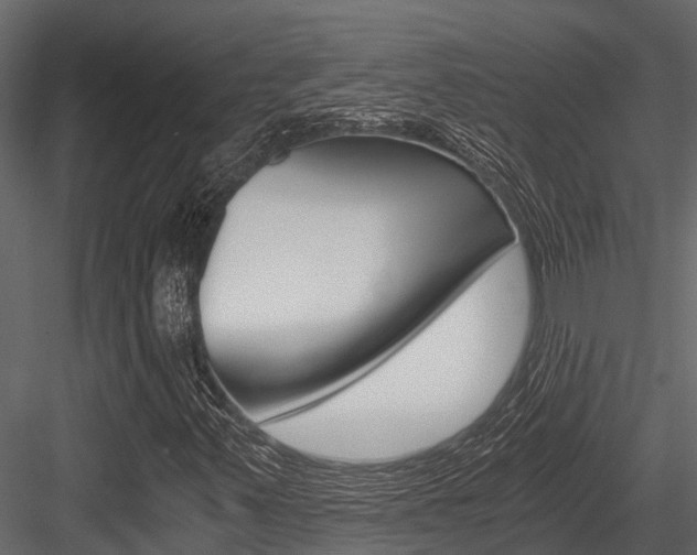 X0000084551347200702230924