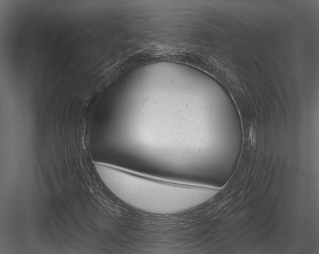 X0000084551348200702230924