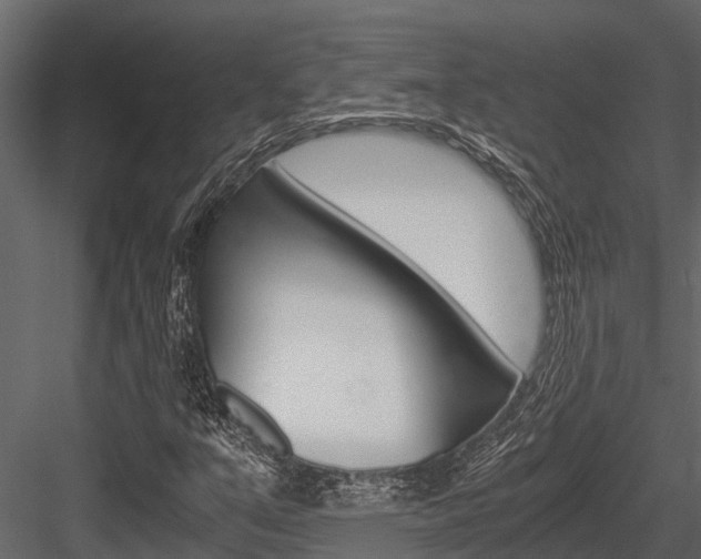 X0000084551351200702230924
