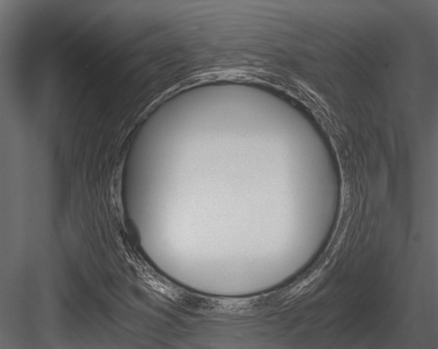 X0000084551353200702230924