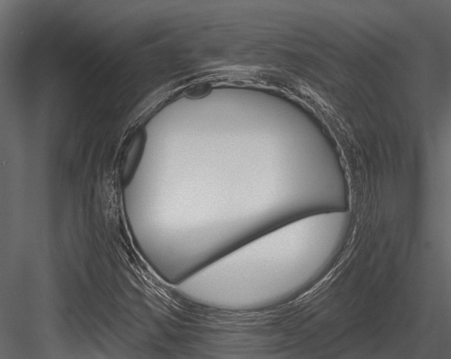 X0000084551354200702230924