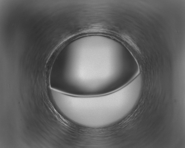 X0000084551356200702230924