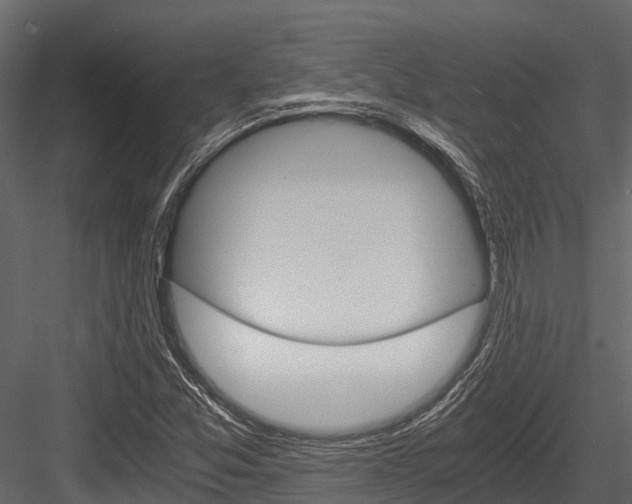 X0000084551357200702230924