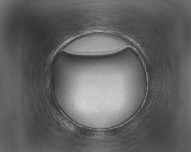 X0000084551359200702230924