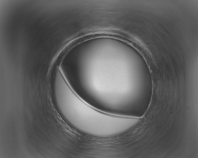X0000084551360200702230924