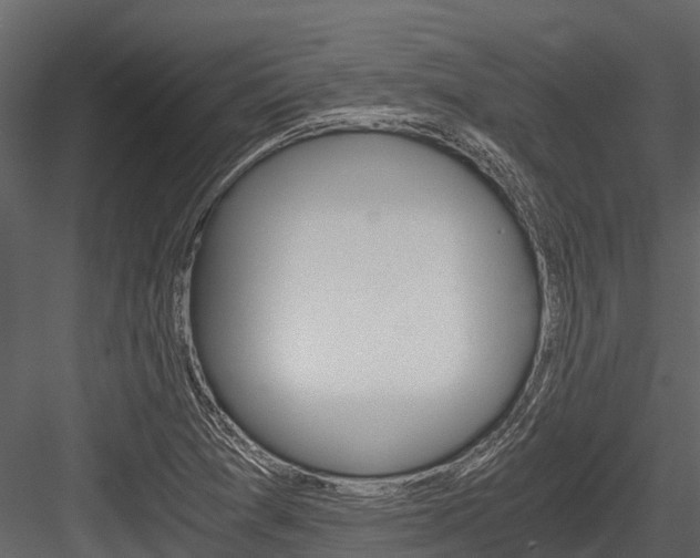 X0000084551361200702230924