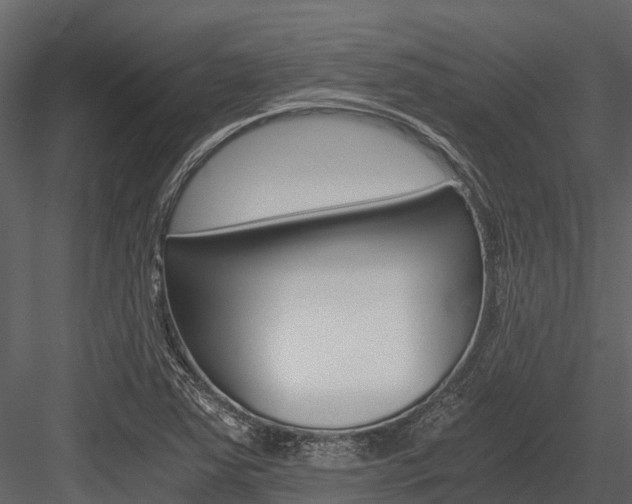 X0000084551363200702230924