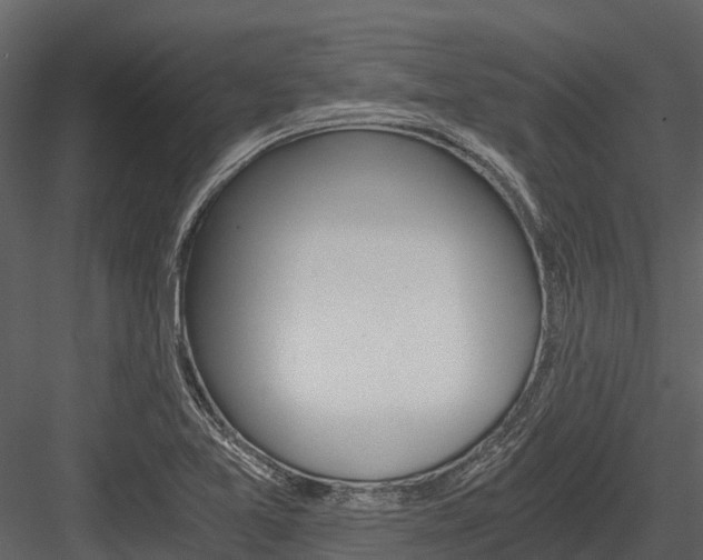X0000084551365200702230924