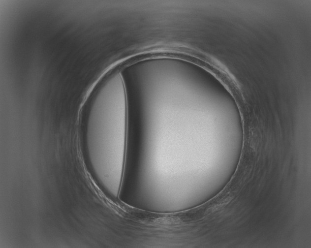 X0000084551368200702230924