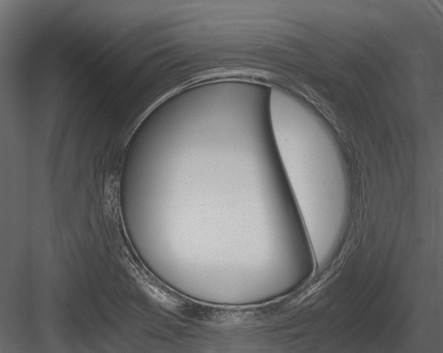 X0000084551369200702230924