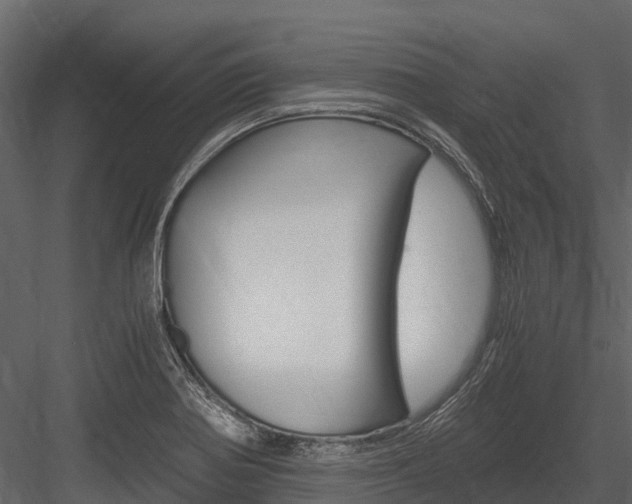 X0000084551370200702230924