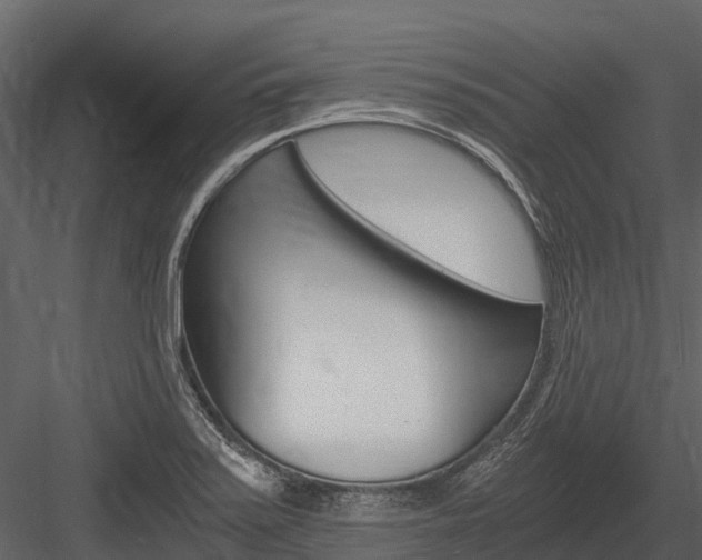X0000084551371200702230924