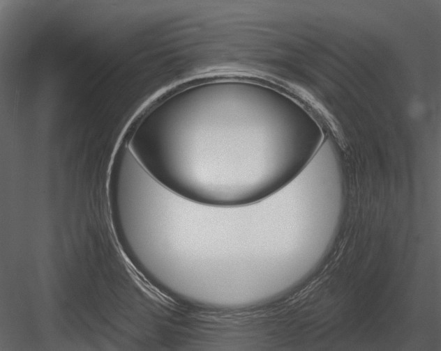 X0000084551372200702230924