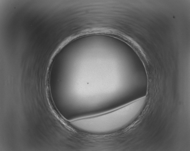 X0000084551373200702230924