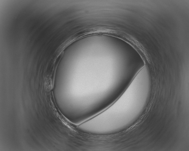 X0000084551377200702230923