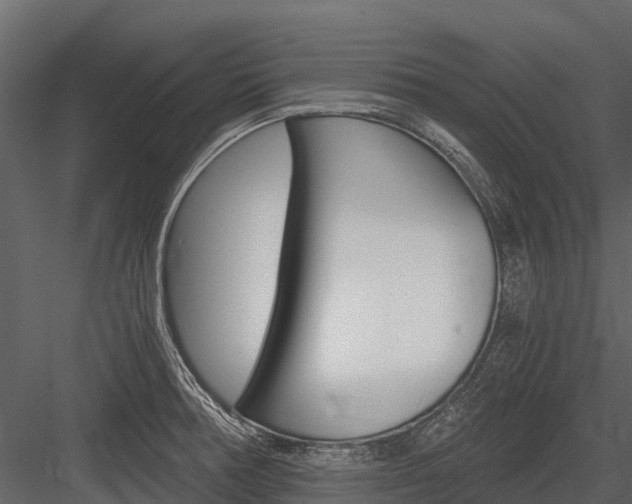 X0000084551378200702230923