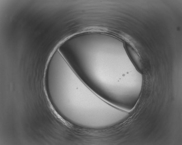 X0000084551379200702230923