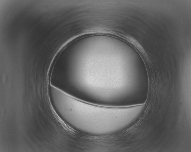 X0000084551380200702230923