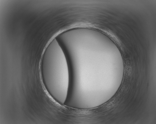 X0000084551382200702230923