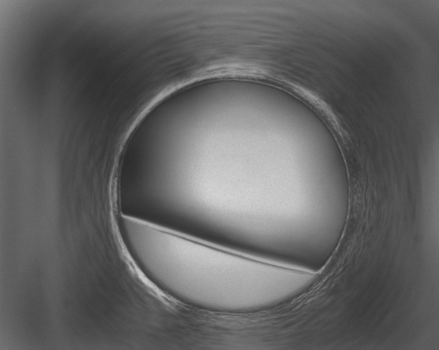 X0000084551383200702230923