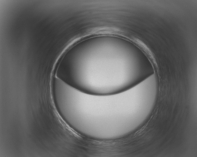 X0000084551384200702230923