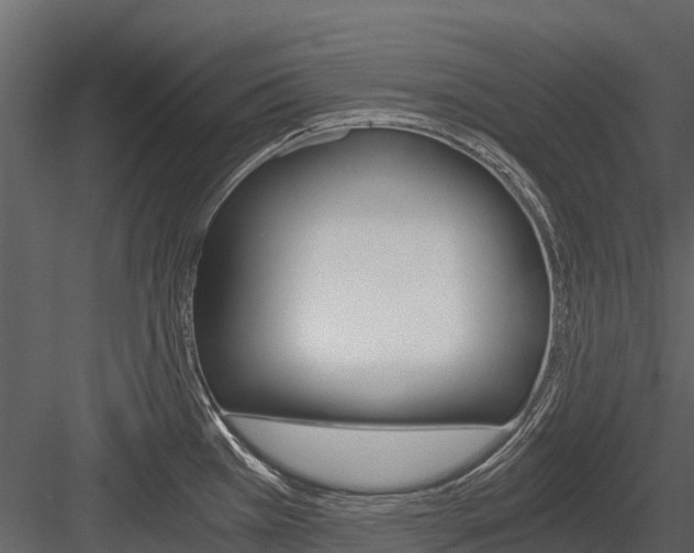 X0000084551385200702230923