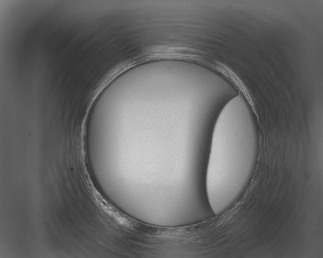 X0000084551386200702230923