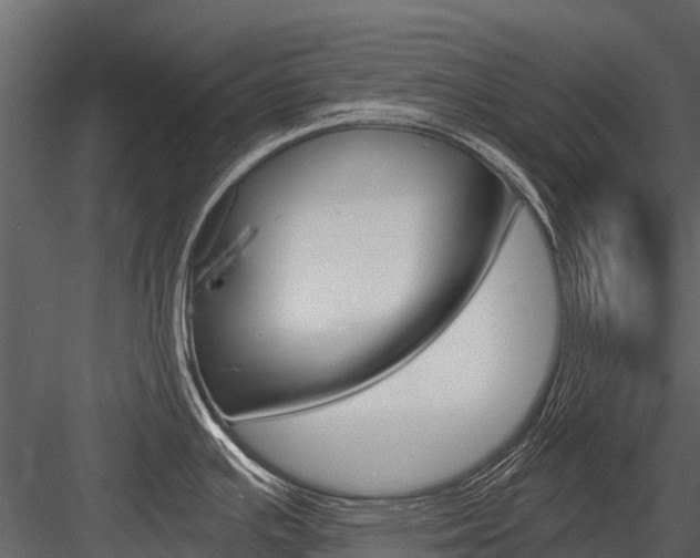 X0000084551391200702230923