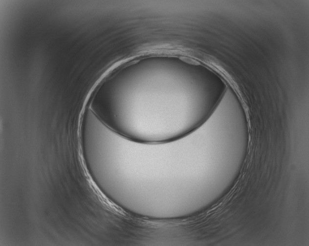 X0000084551392200702230923