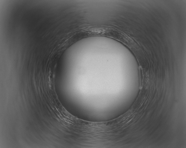 X0000084551394200702230922