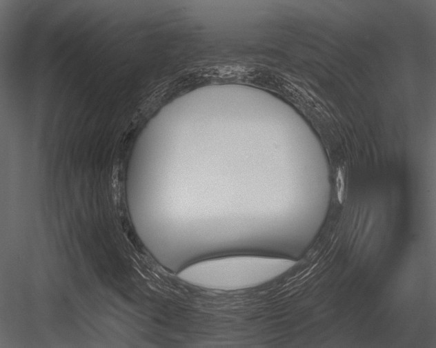 X0000084551395200702230922